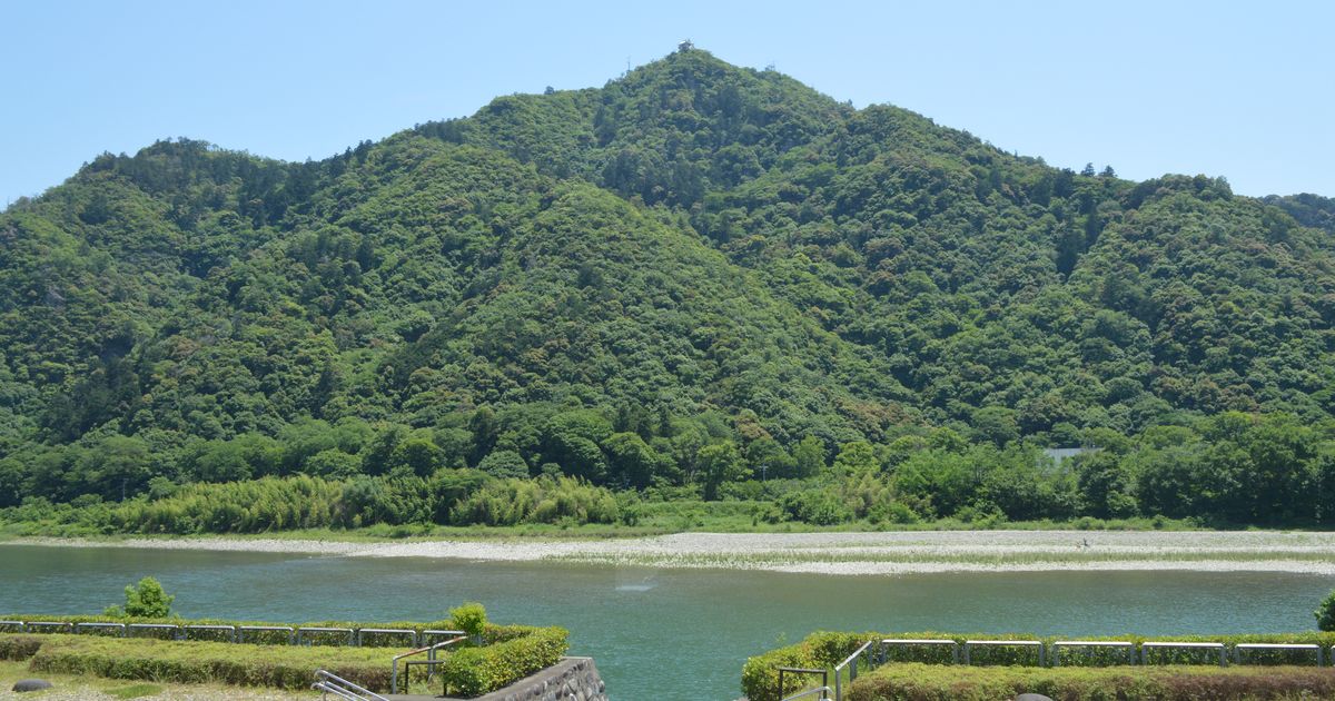 從長良川北岸望向金華山:整座山覆滿綠色樹林,山頂只露出一個很小的白點,前景是青綠色的長良川、河中的礫石灘與岸邊的矮樹籬