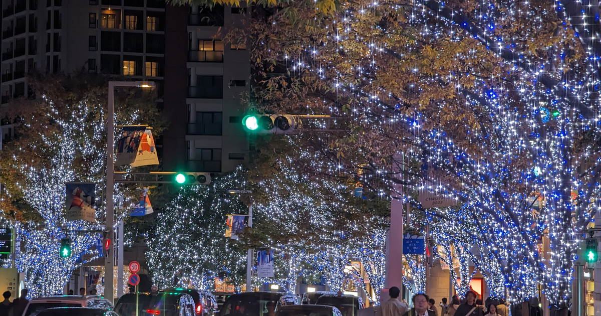 六本木けやき坂通的聖誕點燈夜景，兩側櫸木掛滿藍白色 LED 燈串、枝頭仍留黃褐秋葉，路燈桿掛著聖誕布幔，車道上車陣排隊、人行道上有穿外套的行人