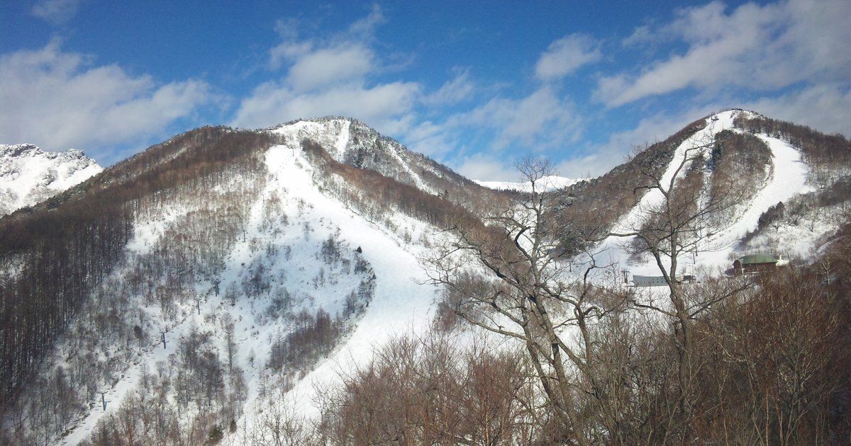 川場滑雪場往桜川、クリスタル方向看：兩座山頭被白色壓雪滑道從上到下切開，滑道旁立著纜車支柱，右側山腰有綠屋頂的建物，前景是落葉的樹林