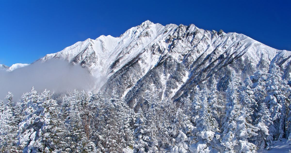 從西穗高口站看出去的西穗高岳:覆滿雪的山稜線與岩壁,山腰掛著一條雲帶,前景是結滿霧淞的針葉林,天空深藍