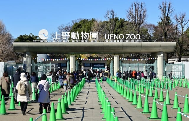 東京親子自由行:推車、家庭與東京街景