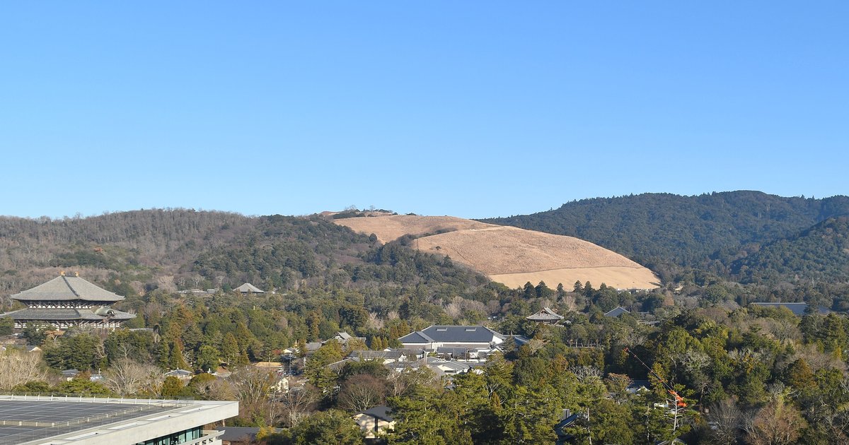 晴天下從遠處眺望若草山:中央整片山坡是枯黃的冬季草地、稜線光禿沒有樹,左側樹叢間露出東大寺大佛殿的大屋頂,中景是奈良公園一帶的白牆建築