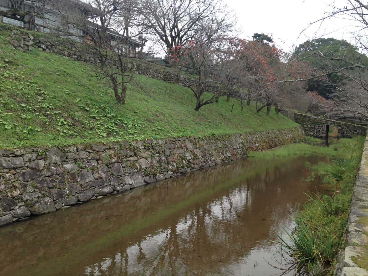 秋月城跡瓦坂一帶的水堀與石垣,堀岸種有柿樹