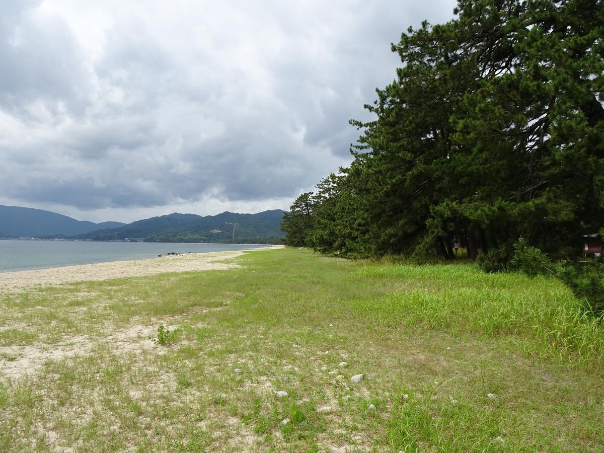 天橋立沙洲的地面視角，左側是沙灘與海面，右側是成排松樹與草地，天空多雲