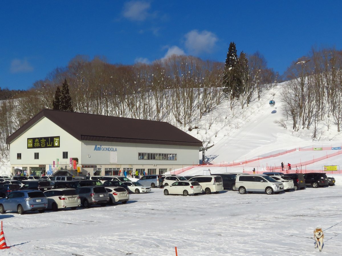 森吉山阿仁滑雪場的纜車山麓站：白牆棕頂的長形建築，牆上掛著綠底「森吉山」招牌與藍色「Ani GONDOLA」字樣，前方停車場停滿車，後方雪坡上索道往山上延伸、吊著一台車廂，右下角一隻繫著繩子的柴犬在雪地上跑