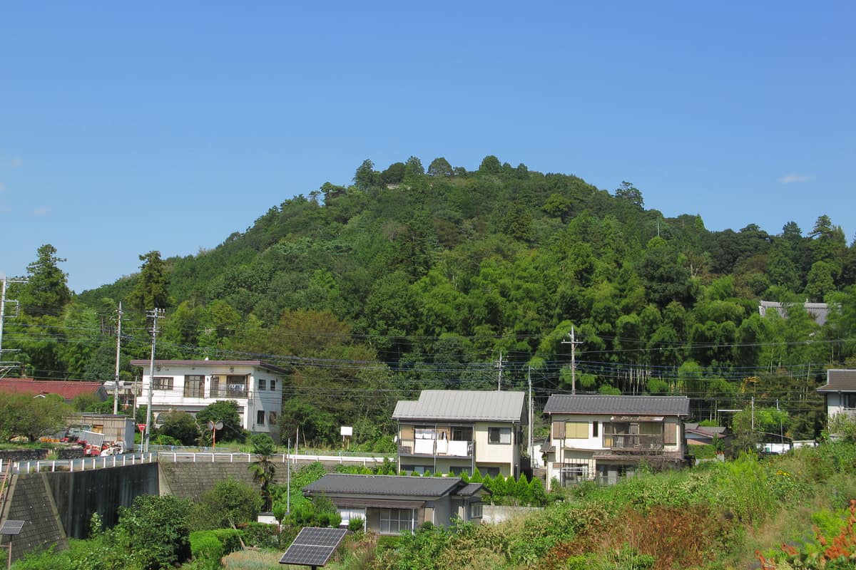飯能市實景照(京浜にけ / CC BY-SA 3.0 / Wikimedia Commons)