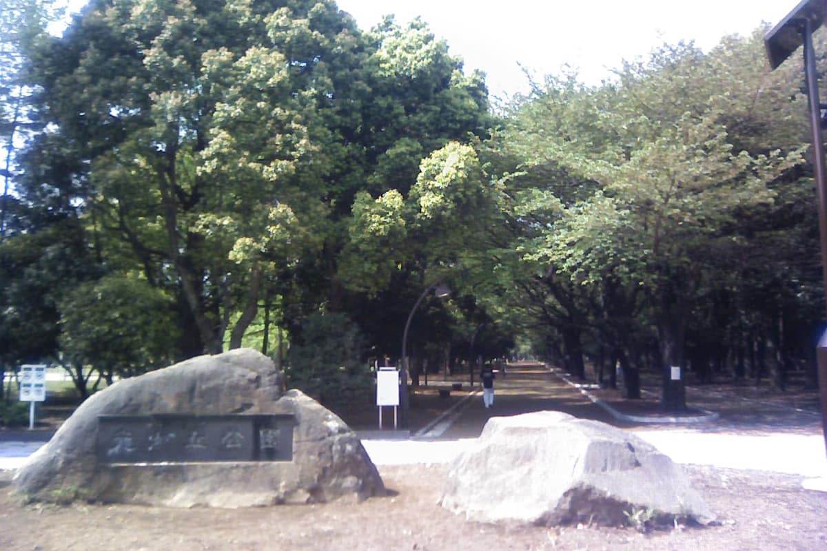 練馬區 光丘實景照(星組背番号10 / CC BY-SA 3.0 / Wikimedia Commons)