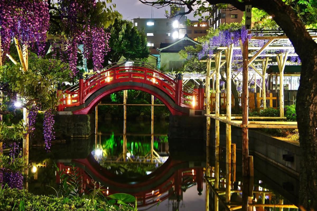 江東區實景照（Manishprabhune / CC BY-SA 4.0 / Wikimedia Commons）