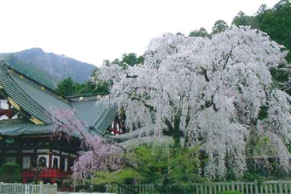 身延町實景照(Wikimedia contributors / CC BY-SA 3.0 / Wikimedia Commons)