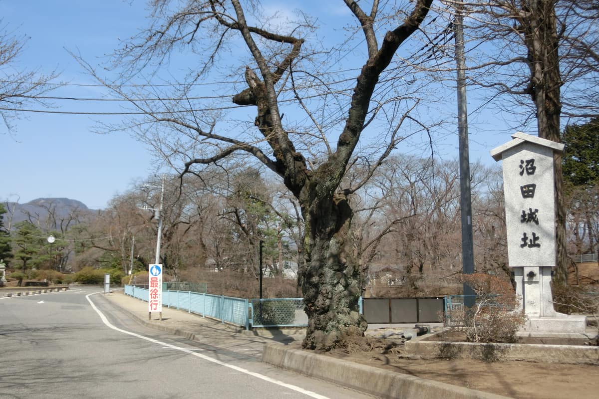 沼田市實景照（Abasaa / Public Domain / Wikimedia Commons）