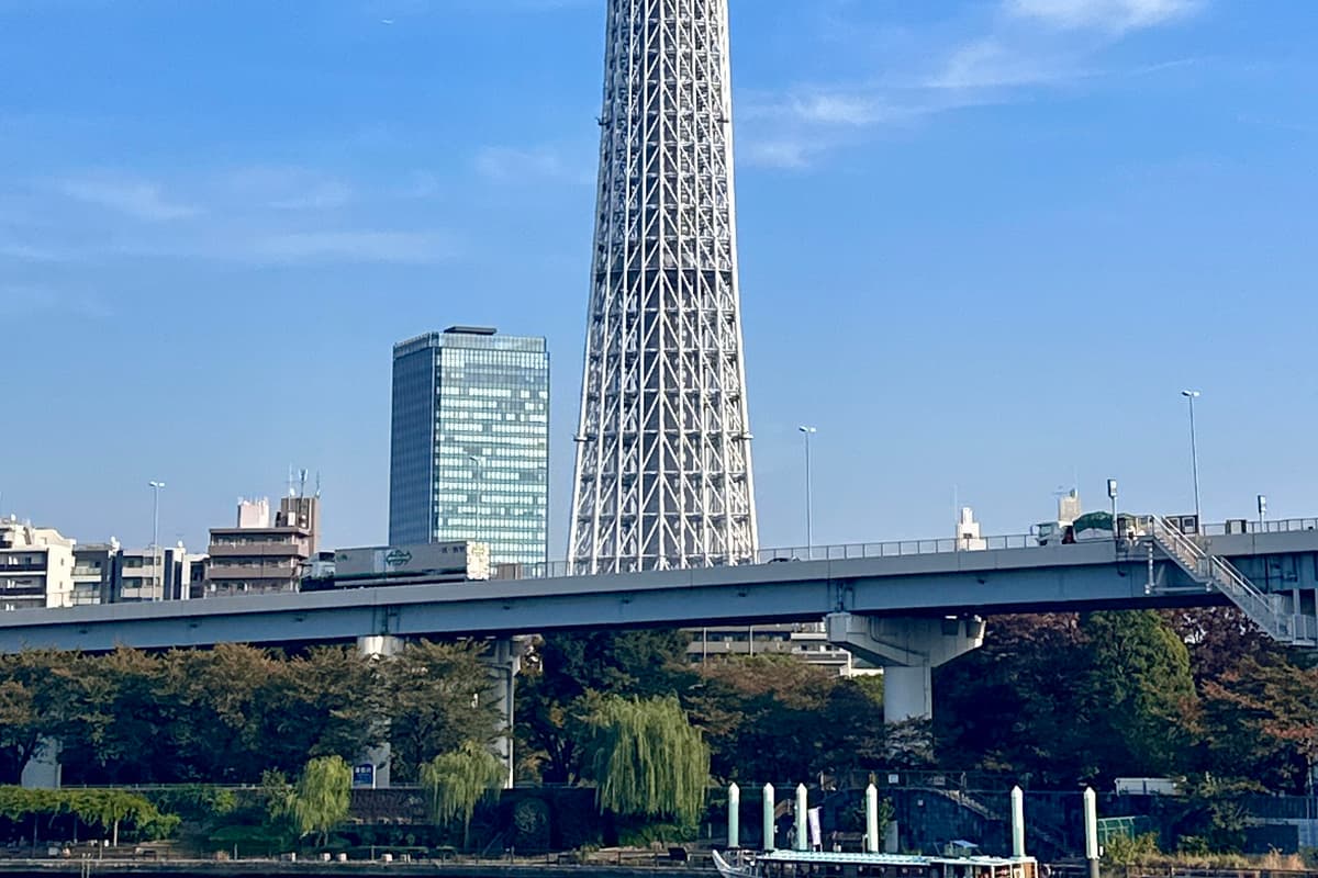 墨田區 押上 / 晴空塔實景照(Akonnchiroll / CC0 1.0 / Wikimedia Commons)