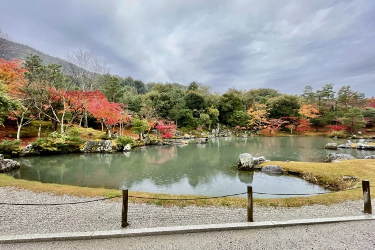 天龍寺曹源池庭園的池水倒映後方嵐山山稜，前景是楓樹