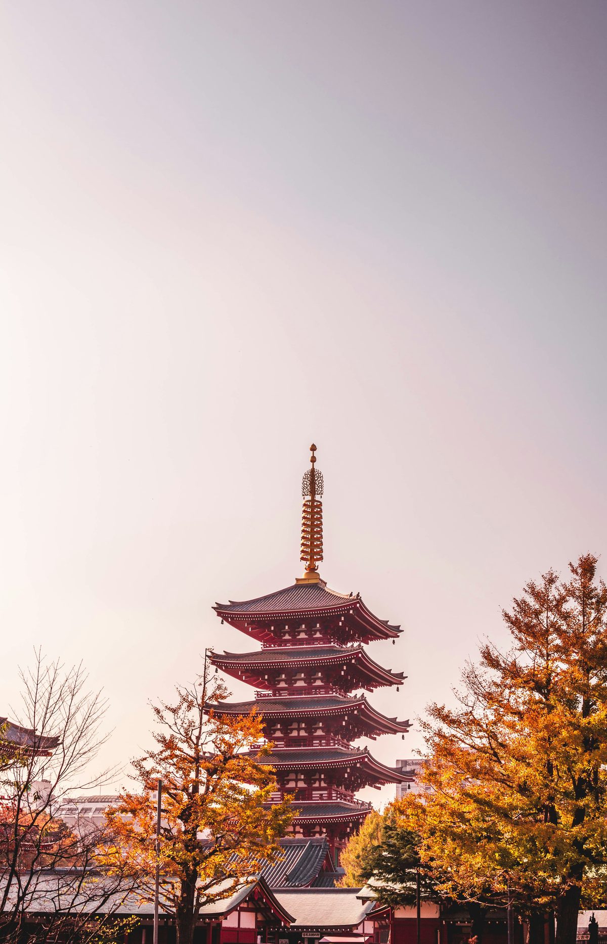 清晨的淺草寺雷門與仲見世通:晨曦中寧靜的東京街景