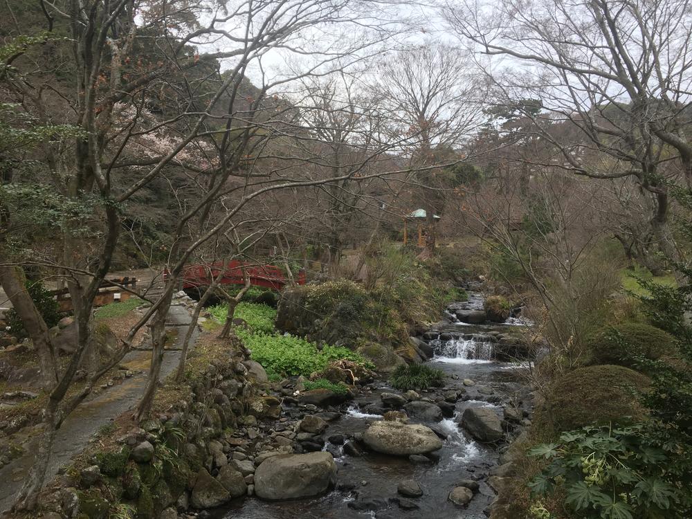 3 月上旬陰天的熱海梅園：石頭溪流上有一段小瀑布，後方是紅色小橋與涼亭，兩旁的樹大多只剩枝條，看不到盛開的梅花