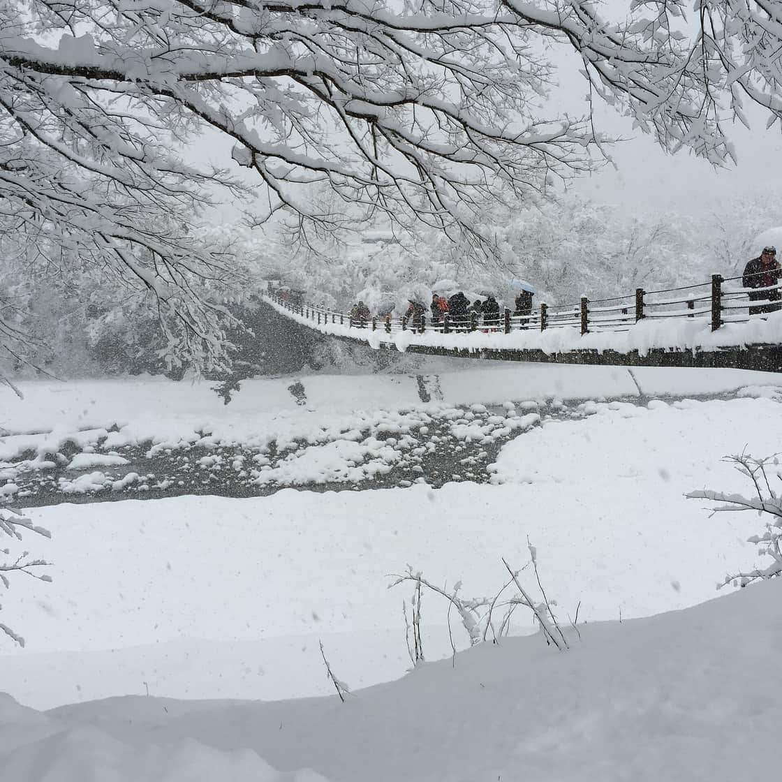 白川鄉合掌造聚落覆蓋白雪的冬季雪景