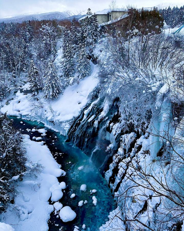 冬天白天從橋上往下看白鬚瀑布:右側岩壁掛滿冰柱與積雪,瀑布從岩縫流進底下藍綠色的美瑛川,河裡的石頭頂著圓圓的積雪,上方可以看到溫泉旅館的建築