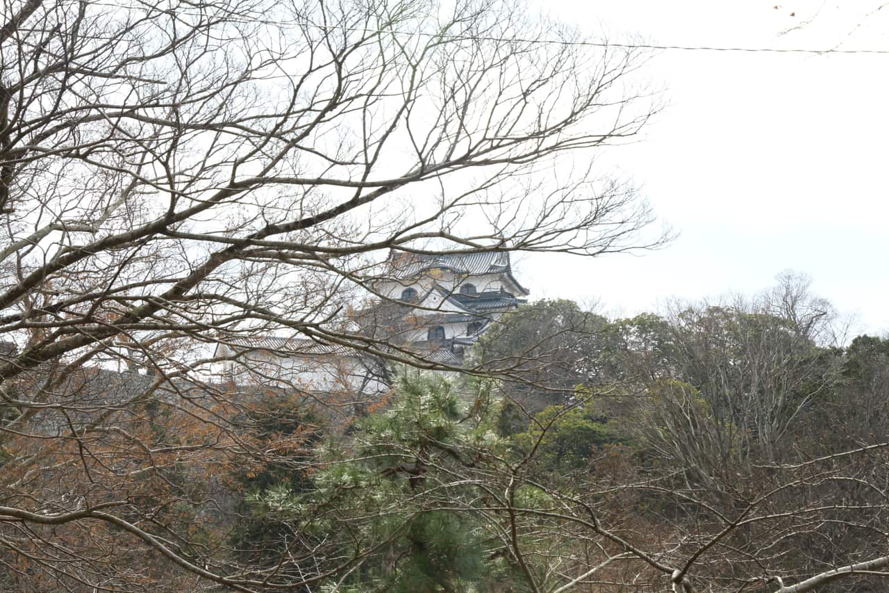 彥根城玄宮園的池泉與借景天守
