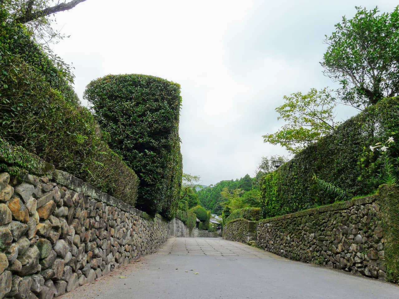 知覽武家屋敷庭園的石牆與生垣街道,被稱為薩摩的小京都