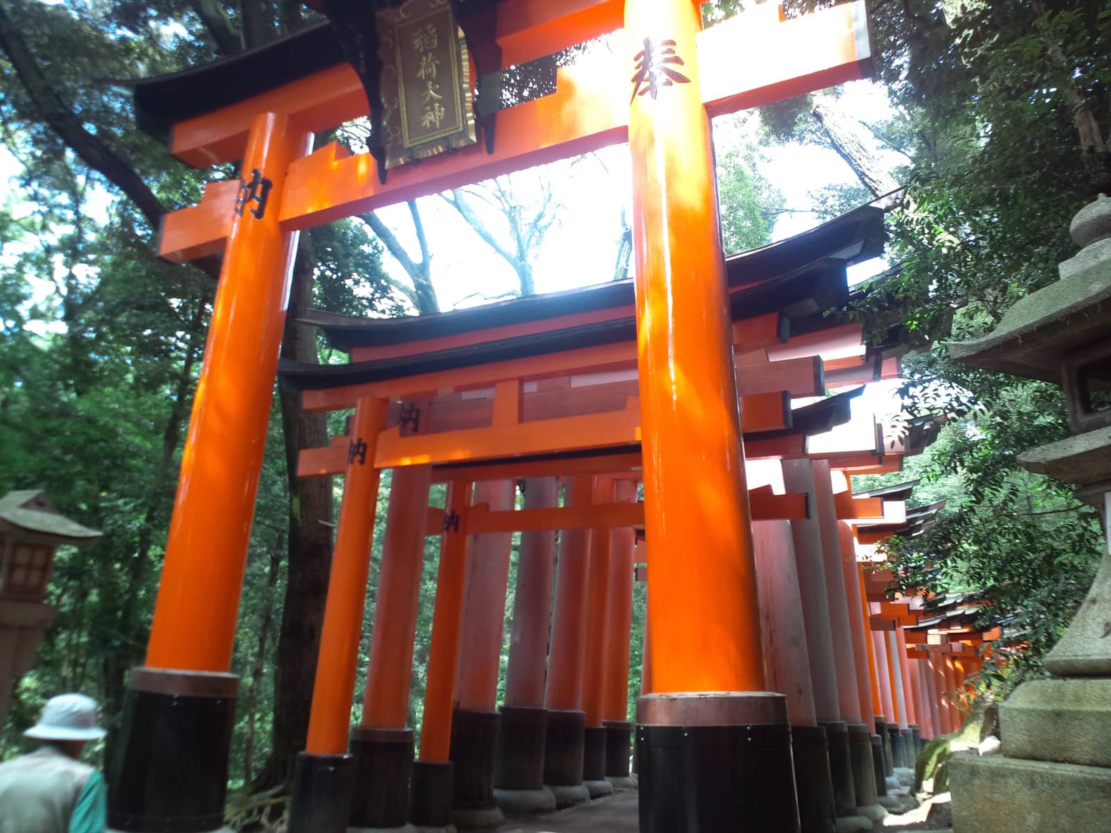 伏見稻荷大社千本鳥居，朱紅鳥居連成隧道