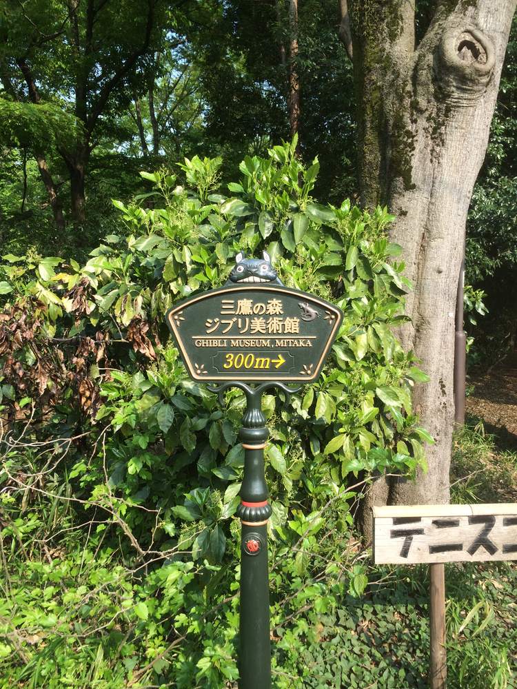 樹林間立著一支深綠色鑄鐵路標柱，柱頂坐著一隻咧嘴笑的灰色龍貓造型雕塑；扇形牌面上金字直排寫著「三鷹の森ジブリ美術館」，下方一行較小的英文「GHIBLI MUSEUM, MITAKA」，再下方是黃色的「300m→」；牌面右上角有一隻小型動物浮雕，背景是茂密的綠色灌木與一棵粗樹幹，右下角另有一塊寫著日文的木牌