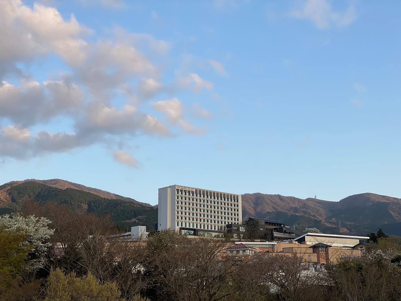 從外側山坡遠望御殿場 outlet 全區：中央是格子立面的 HOTEL CLAD 高樓，右側是深色低層建築，下方一整排紅屋頂與白色的購物棟，前景有開花的白色櫻花與尚未長葉的樹