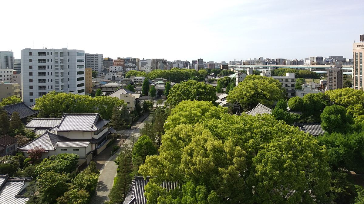 從高處俯瞰博多舊市區,前景是寺院的瓦頂與大片樟樹樹冠,中央有一條穿過樹林的參道,後方緊接著中高層大樓與一段高架道路