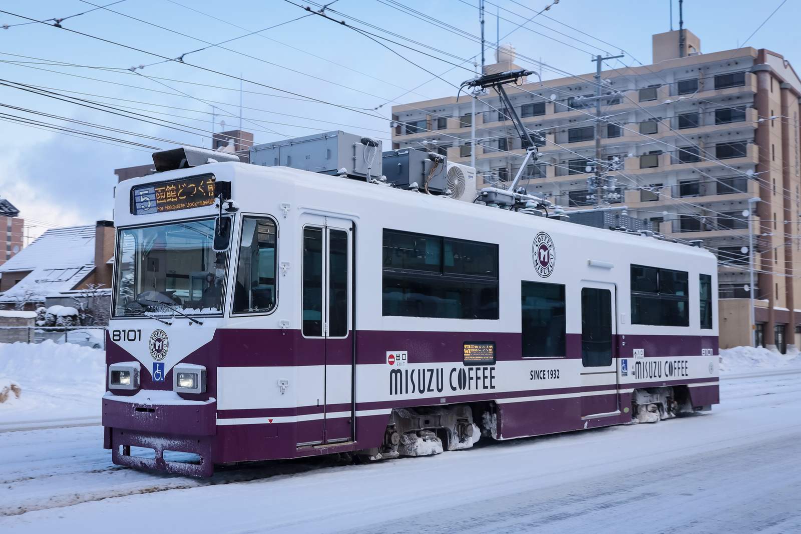 積雪路面上一台白底紫紅色塗裝的函館市電 8101 號,車身印著 MISUZU COFFEE 的廣告,車頭上方的行先顯示寫著「5 函館どつく前」與英文 For Hakodate Dock-mae,背景是覆雪的屋頂與一棟米色公寓,天色陰藍