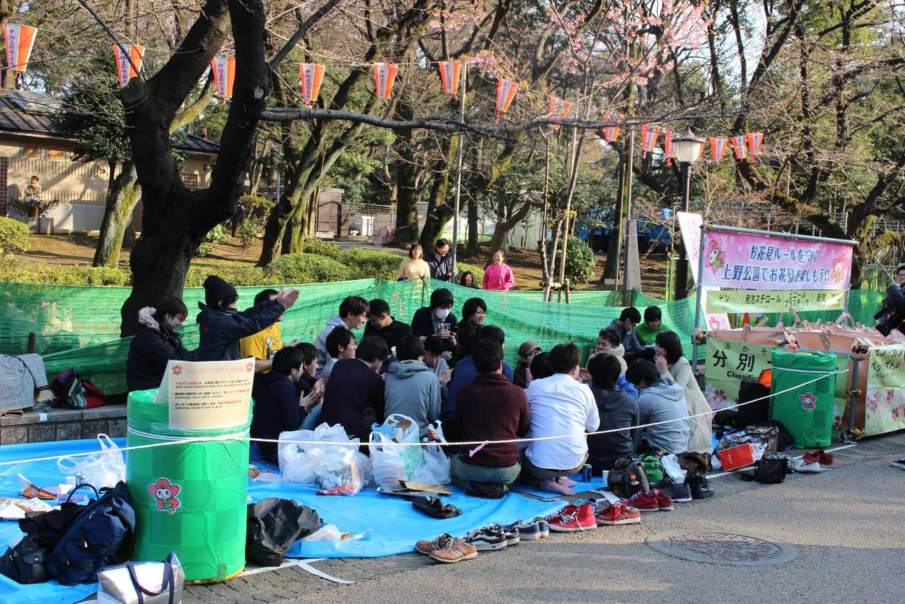 上野公園賞櫻現場，一大群人坐在鋪開的藍色塑膠墊上，鞋子整齊脫在墊子邊緣，旁邊立著「遵守賞花規則」的粉紅色布條與垃圾分類回收桶