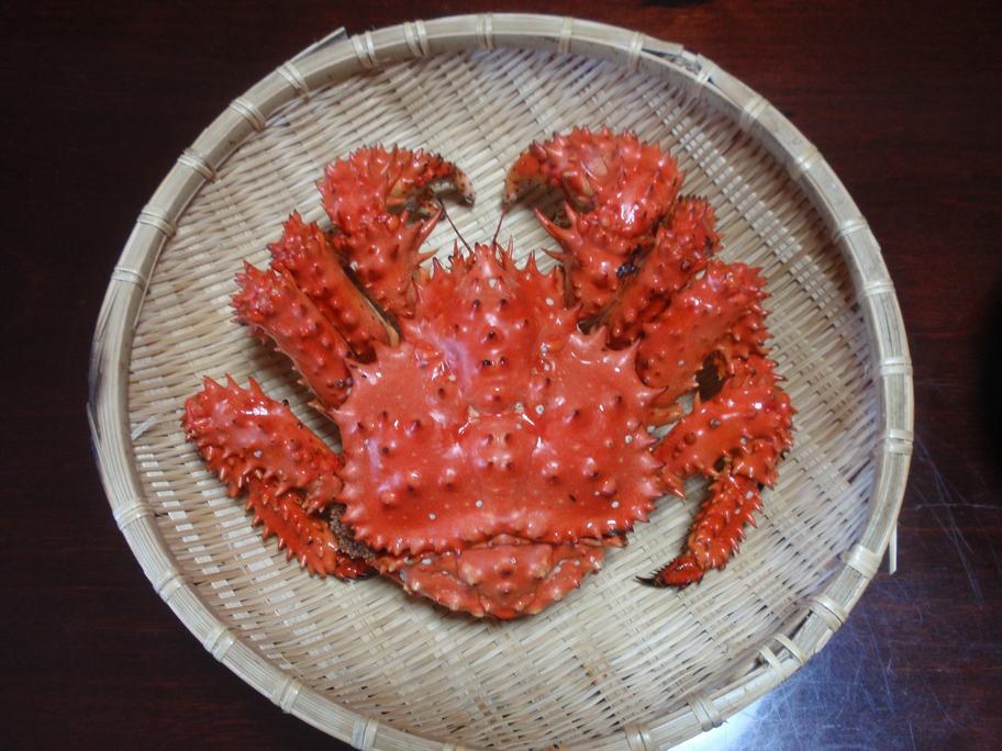 煮熟後轉為朱紅色的花咲蟹全隻,殼面與腳上布滿短硬棘刺