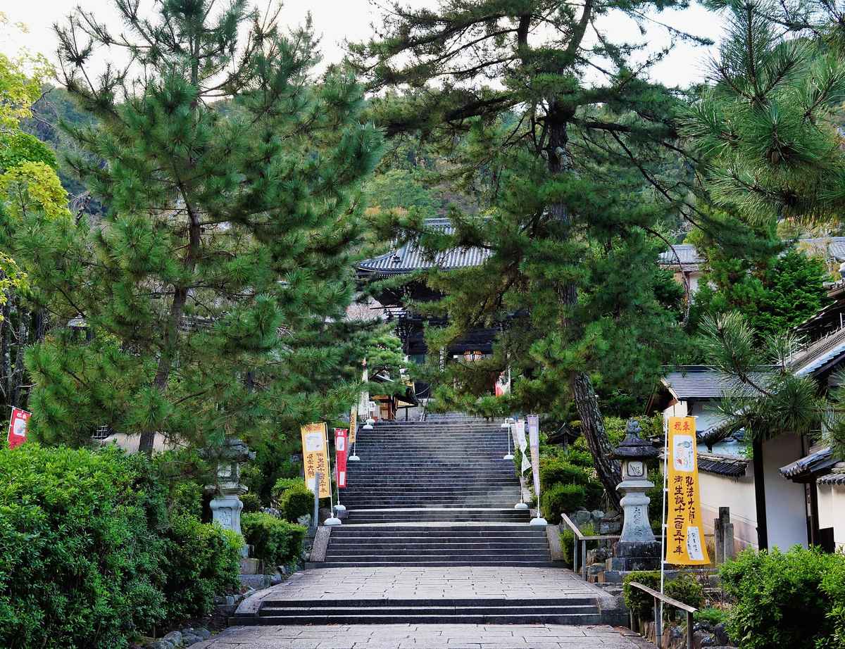 奈良長谷寺入山參道的石階與松樹,仁王門屋頂在林間半掩、兩側立著石燈籠