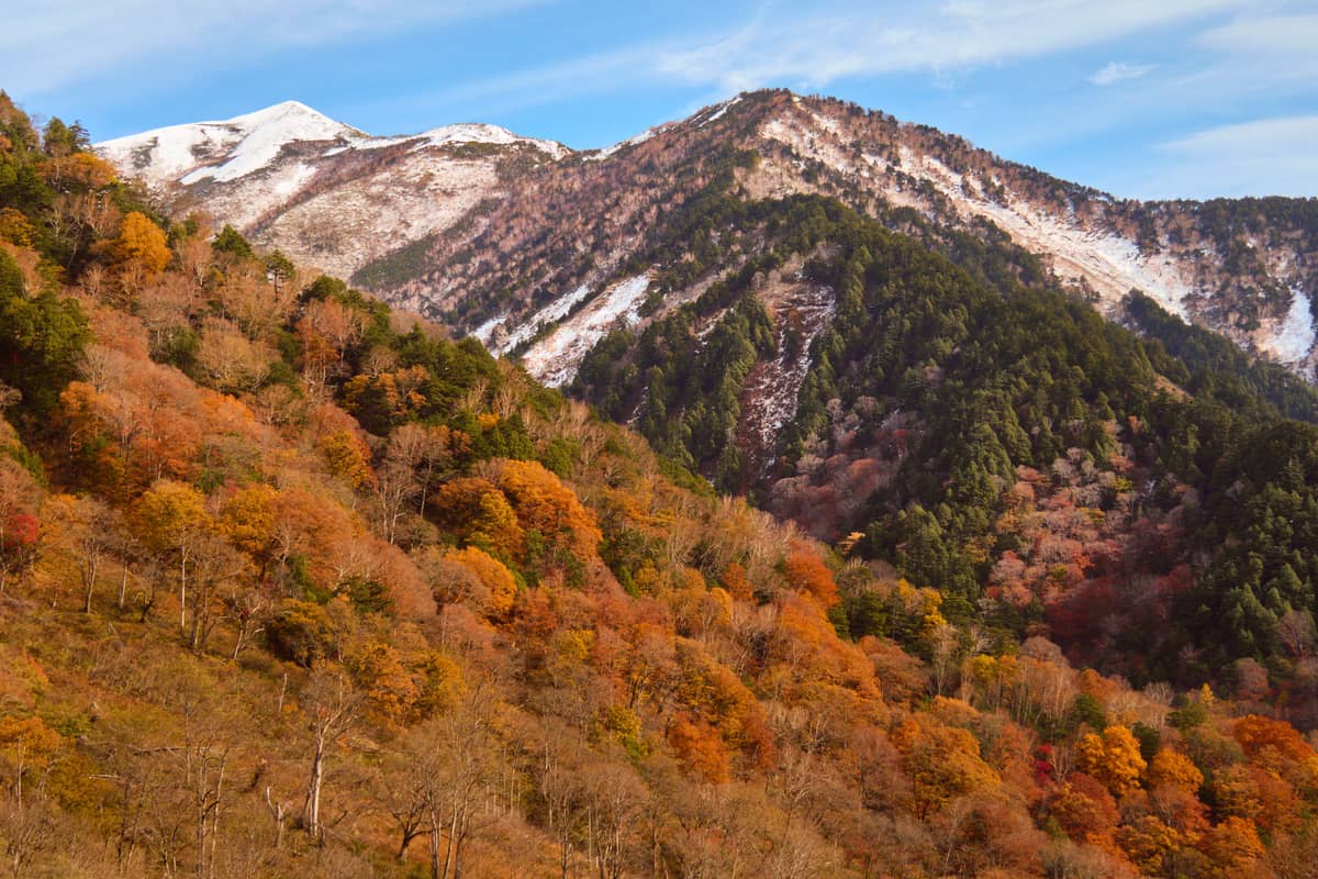 立山黑部阿爾卑斯路線的秋景:遠處稜線與山頂已被雪覆蓋,前方山坡仍是滿山紅黃楓葉,示意初冠雪與市區初雪的落差