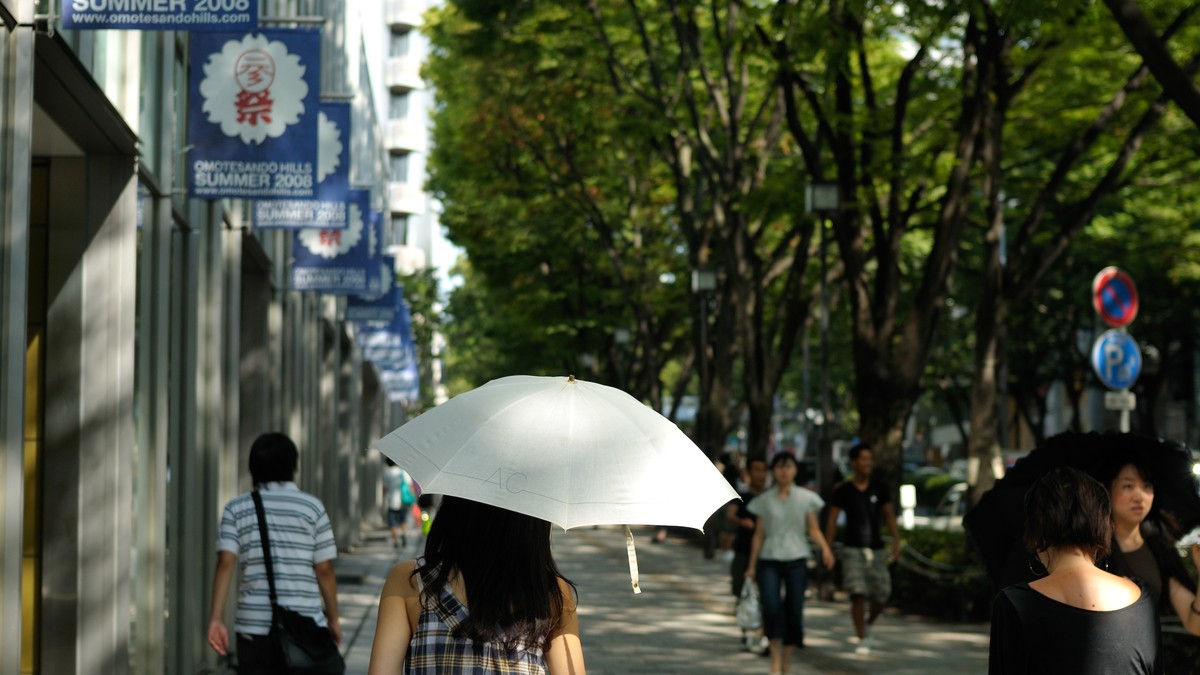 盛夏的日本街頭，強烈日照下行人撐著陽傘走過
