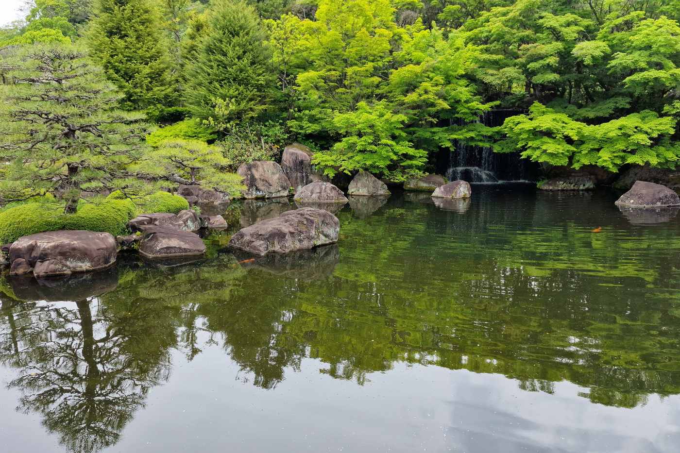 好古園御屋敷之庭的大池與瀑布，池畔的日式庭園造景