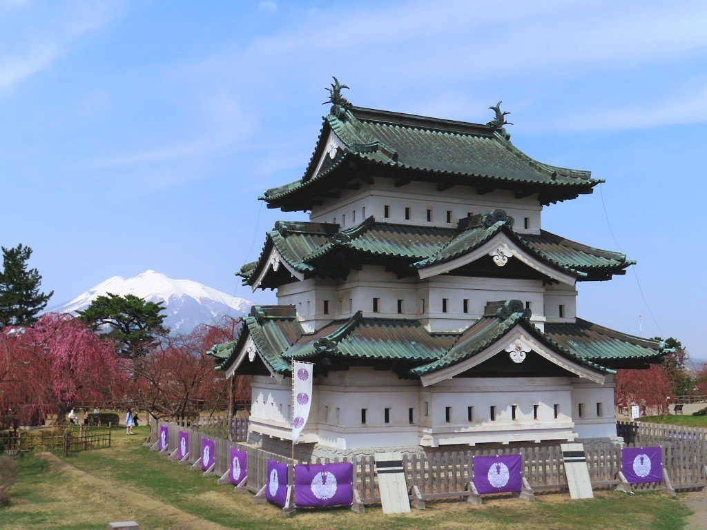 弘前城天守站在草地上、白牆直接接到地面沒有石垣,左後方是積雪的岩木山,左側一株枝垂櫻滿開,天守前方圍著白色木柵與紫色家紋幕