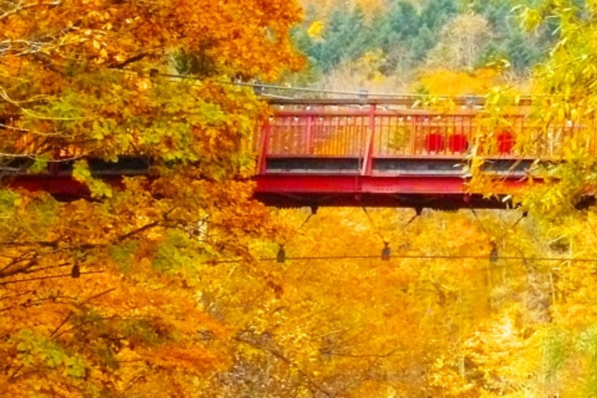 定山溪二見吊橋俯瞰豐平川峽谷紅葉,10 月中旬札幌近郊最美秋景