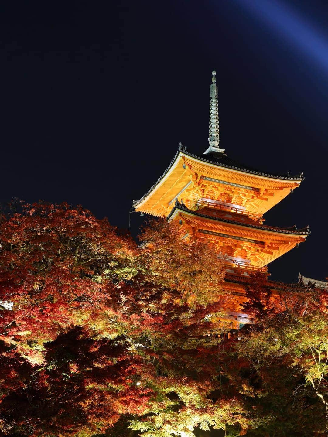 京都清水寺本堂與清水舞台,秋季紅葉環繞的木造建築