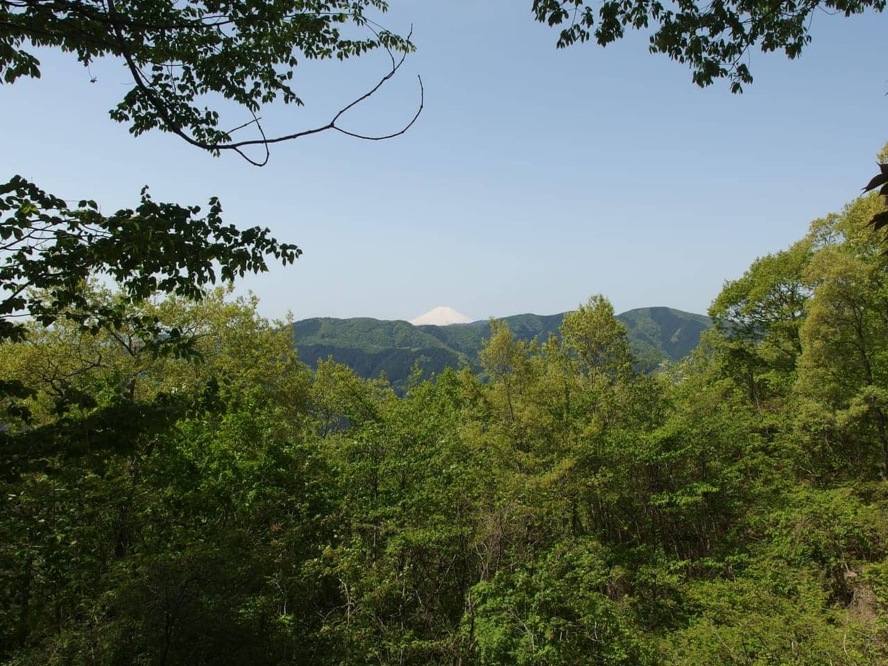 從登山步道遠眺富士山,登山健行可能需要加保山岳險與救援費用