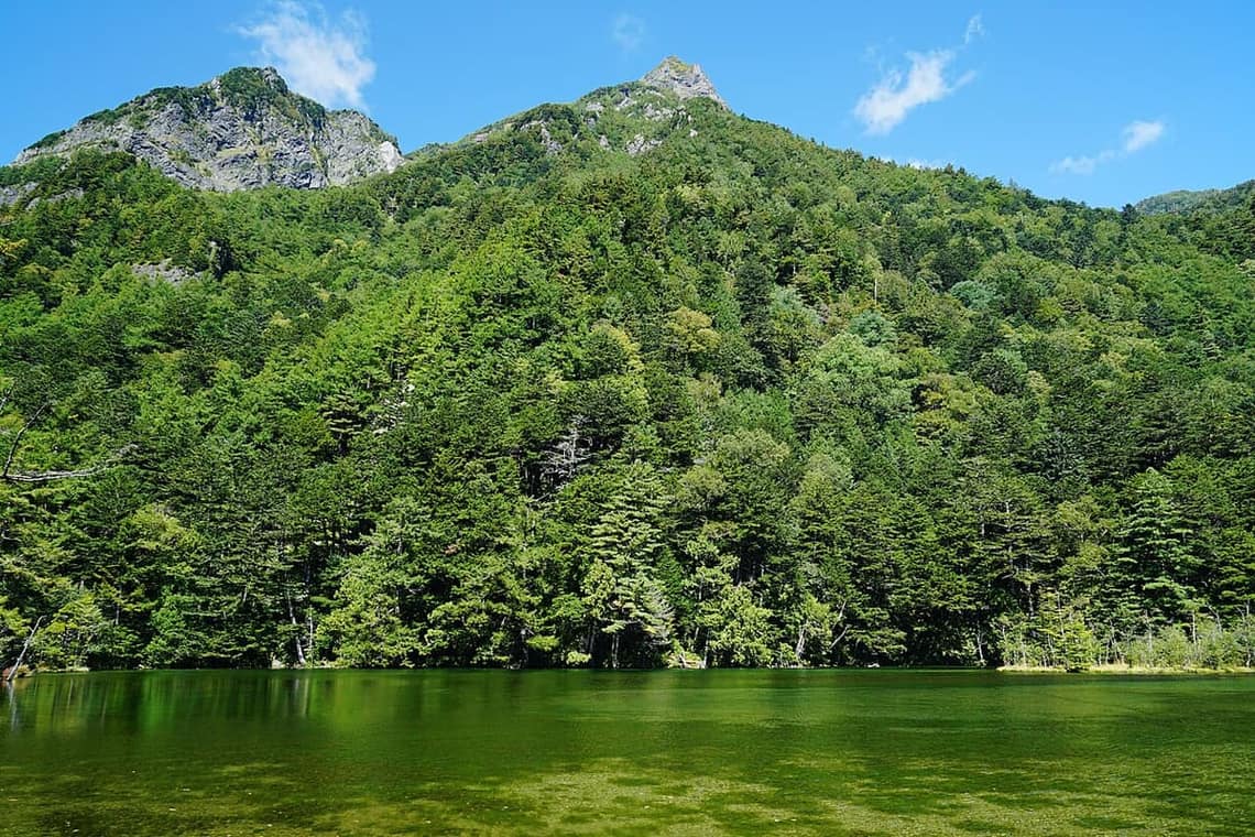 上高地明神池清澈寧靜的池水