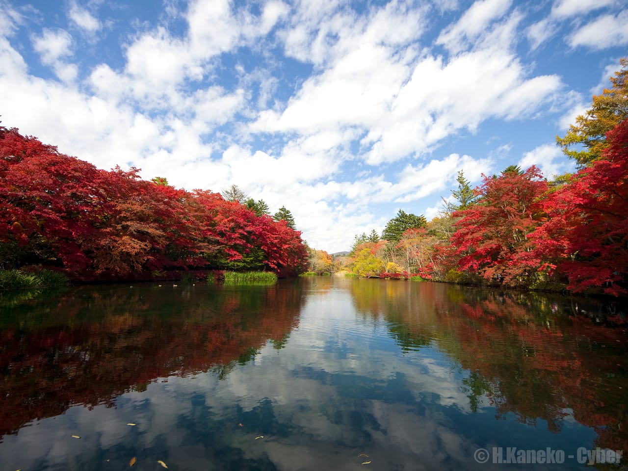 輕井澤雲場池秋天的紅葉倒映在水面上