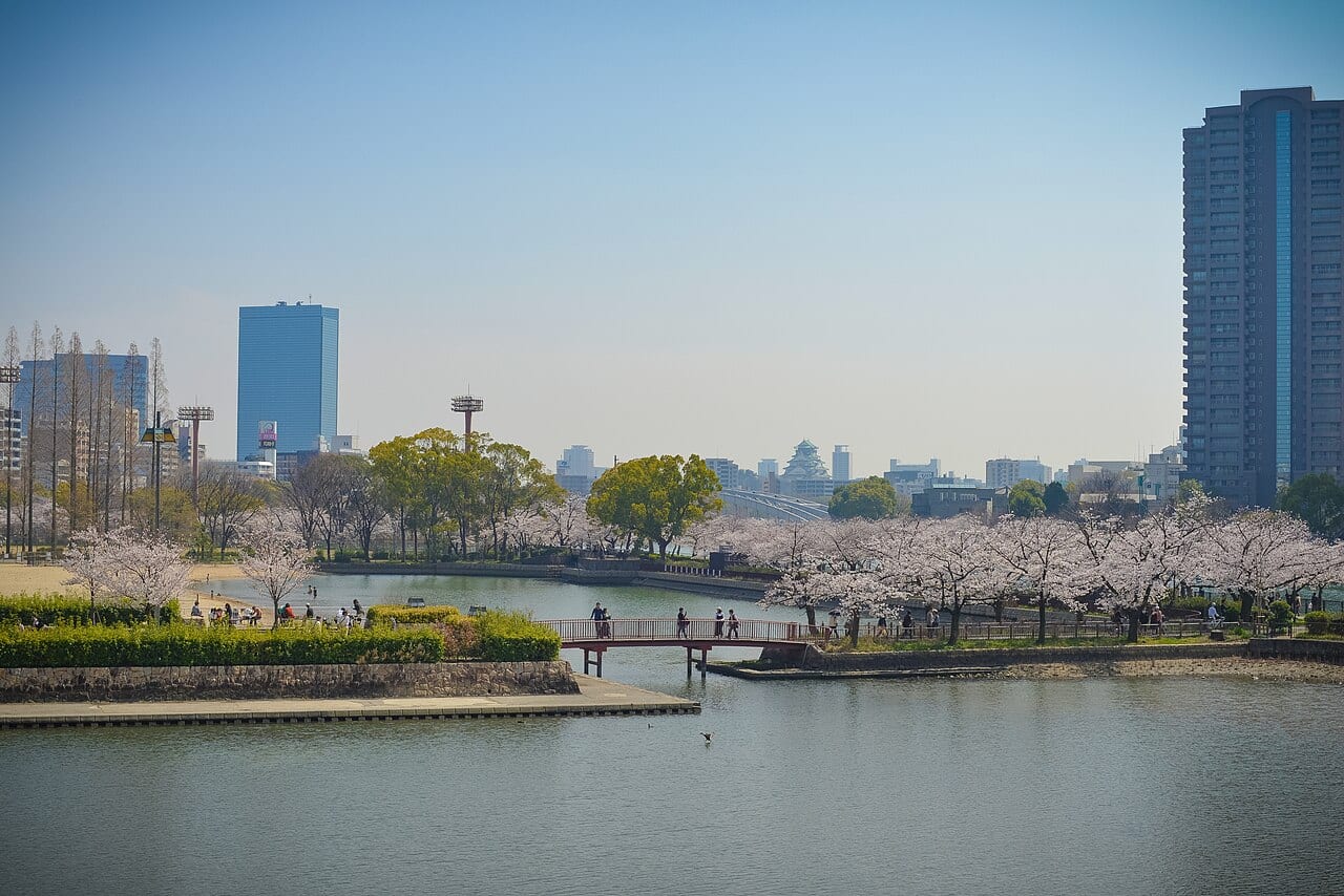大阪大川（毛馬櫻之宮公園）沿岸的櫻花並木