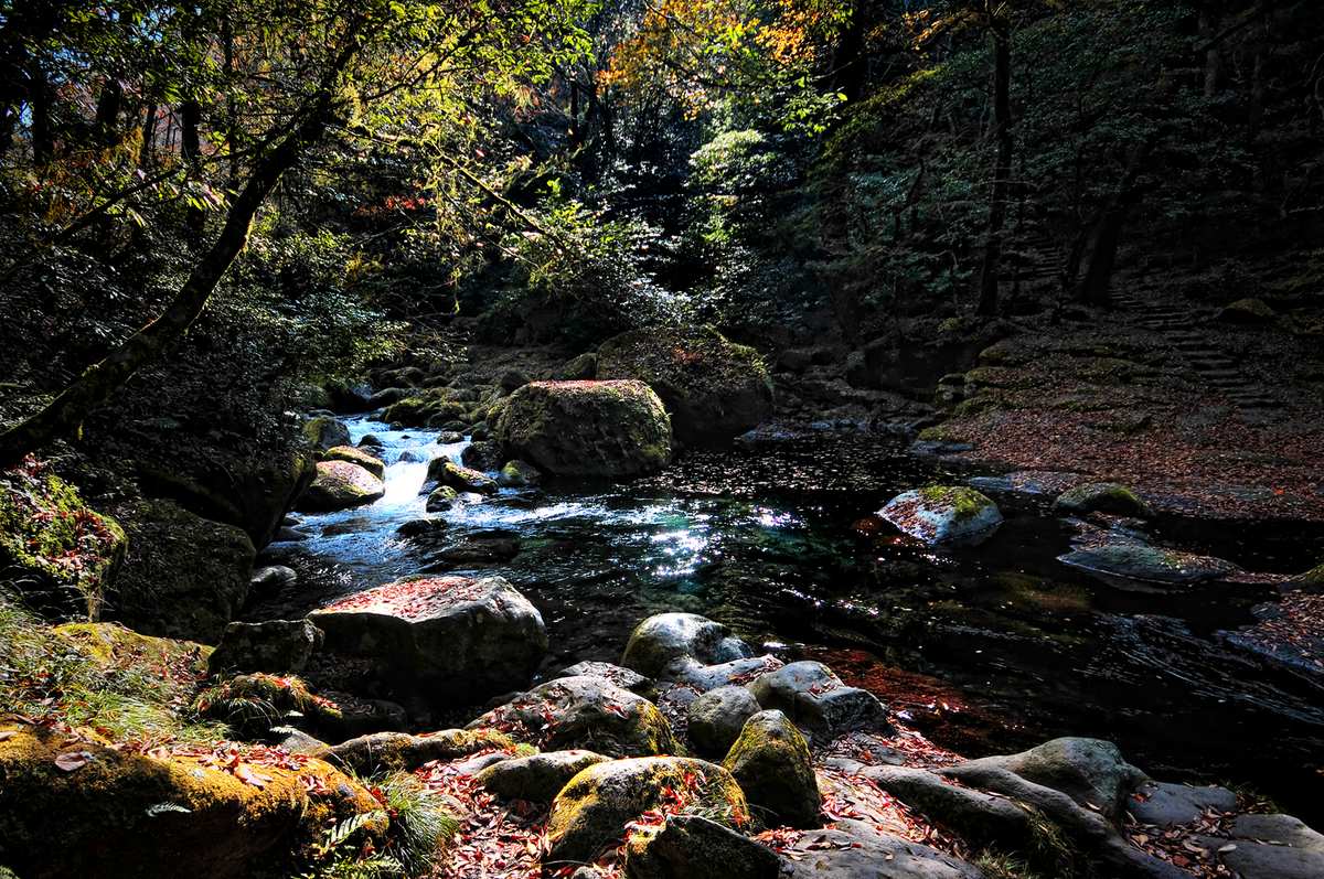 菊池溪谷溪畔岩石鋪滿紅褐落葉,深潭映著光,右側可見石階步道