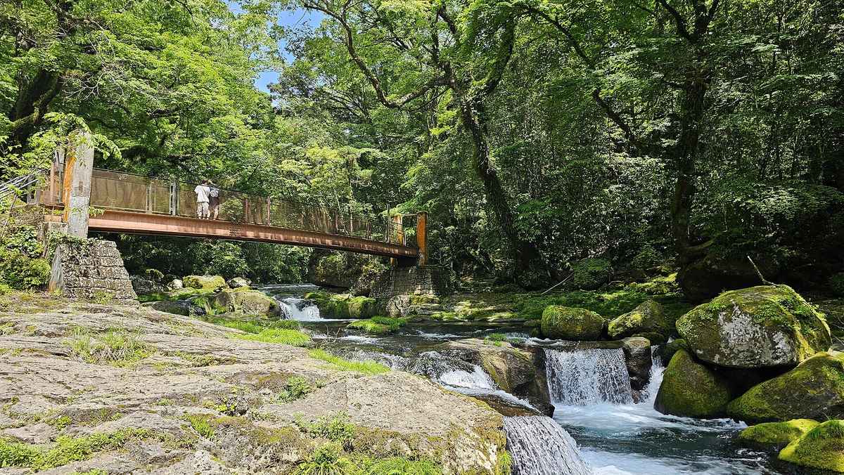 菊池溪谷夏季實景,翠綠林蔭下溪流沿岩壁流下,是熊本盛夏的天然避暑地(示意)