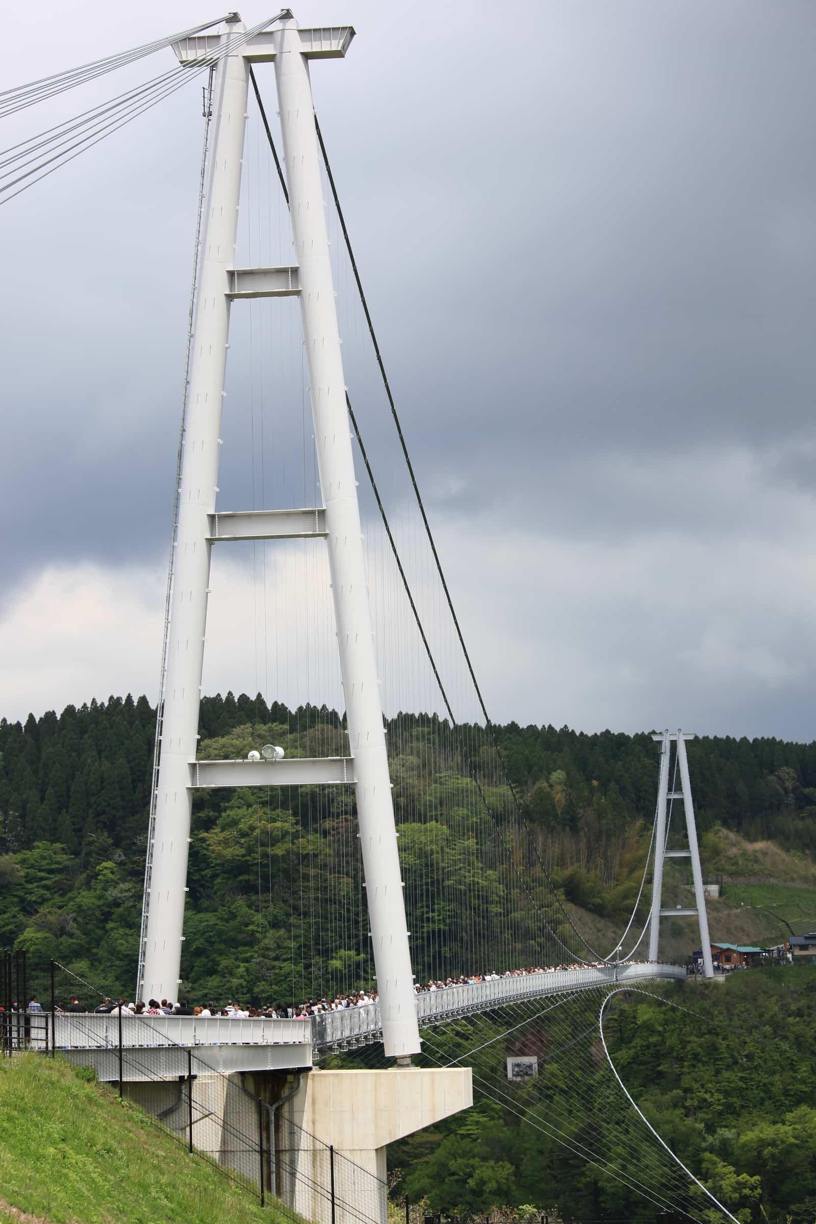 九重夢大吊橋側面視角,橋體與鋼索橫跨鳴子川溪谷