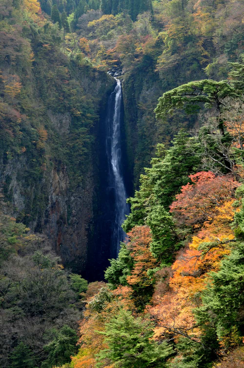 震動の滝,白色水流自陡峭岩壁落入鳴子川溪谷