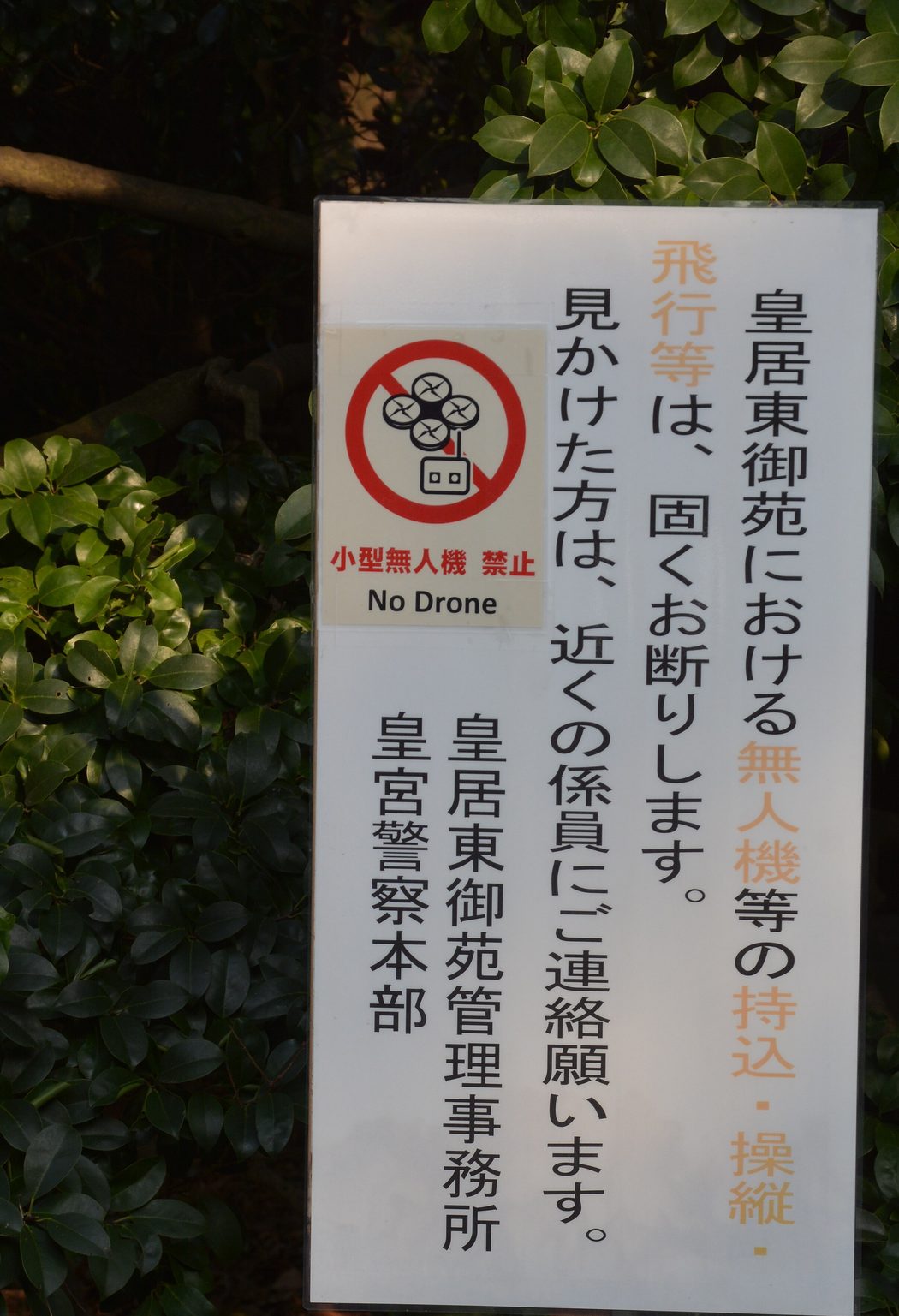 樹叢前立著一塊白底直式告示牌，右起直書「皇居東御苑における無人機等の持込・操縦・飛行等は、固くお断りします。見かけた方は、近くの係員にご連絡願います。」，落款兩行是「皇居東御苑管理事務所」與「皇宮警察本部」；左上角貼著一張紅圈斜線的四軸空拍機圖示，圖示下方紅字「小型無人機 禁止」與黑字「No Drone」