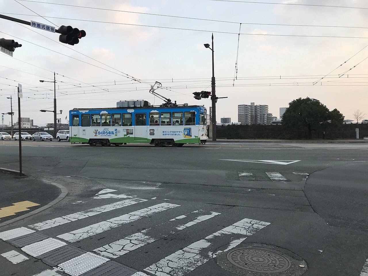 一節藍白綠塗裝的熊本市電單節電車停在馬路中央的軌道上,車身是乳品廣告,上方是架空電車線,路口有時差式信號的號誌