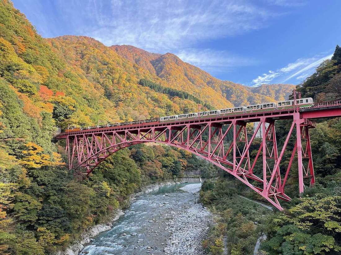 紅葉季的黑部峽谷:托盤車列車行駛在紅色鋼構拱橋上,橋下是灰白河床的溪流,對岸整片山坡橘黃