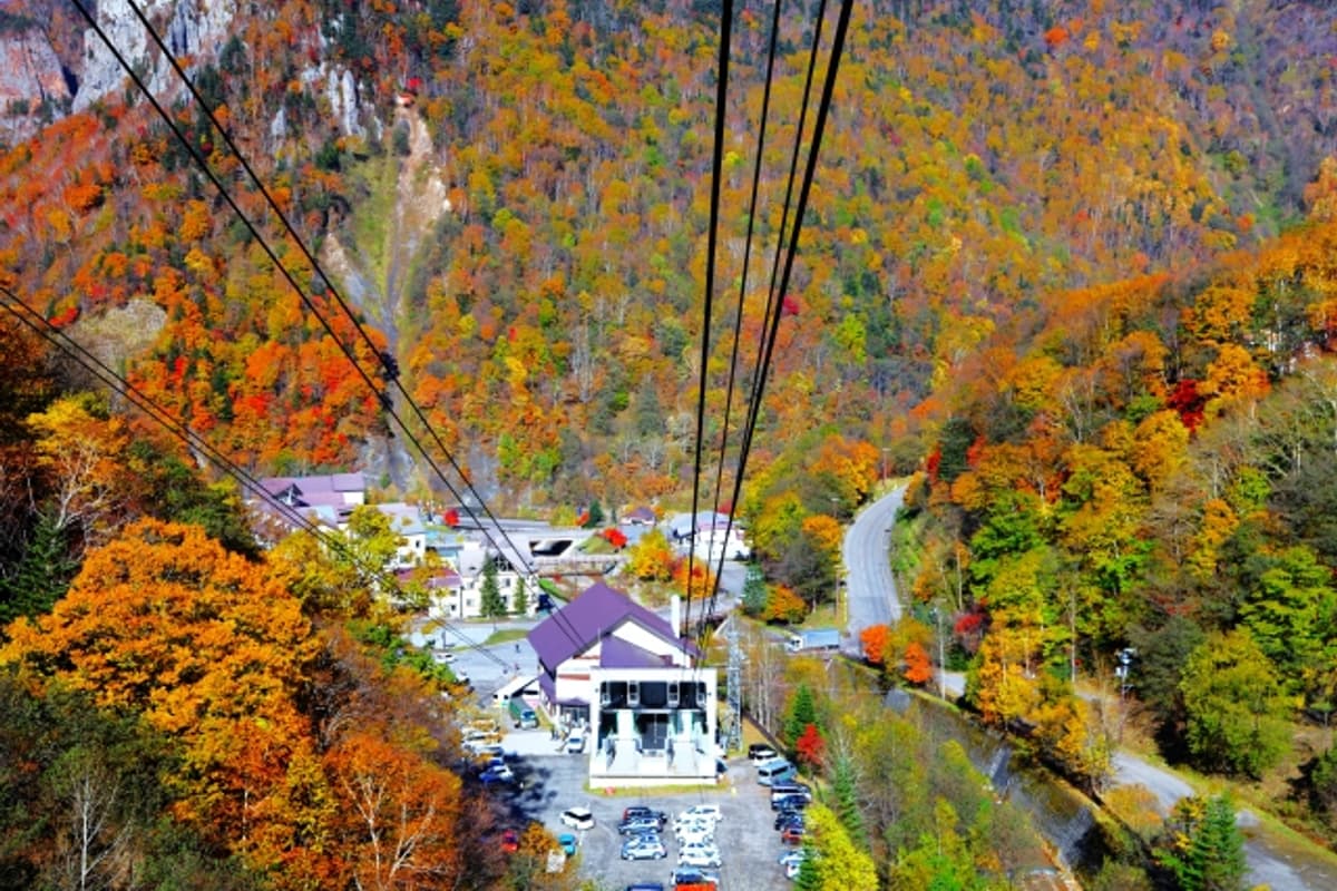 從黑岳纜車俯瞰層雲峽溫泉街與石狩川峽谷,兩側是陡立的柱狀節理岩壁