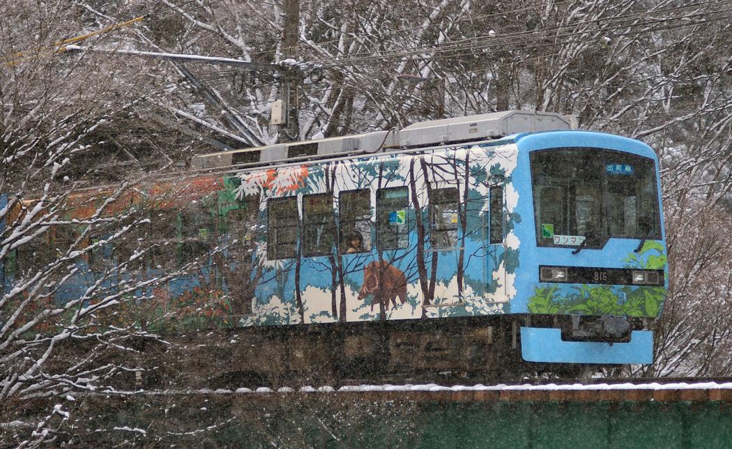 降雪中的叡山電車 800 系 816 號：車體包著森林與山豬圖案的彩繪，正通過貴船口站附近的鐵橋，前方目的地牌寫著「出町柳」，周圍的枝條都積著雪