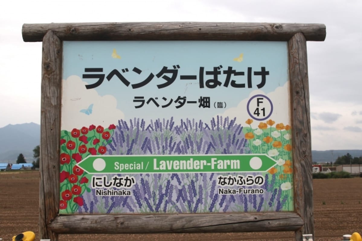 ラベンダー畑站站牌與背景的薰衣草田,Norokko 號季節限定停靠站